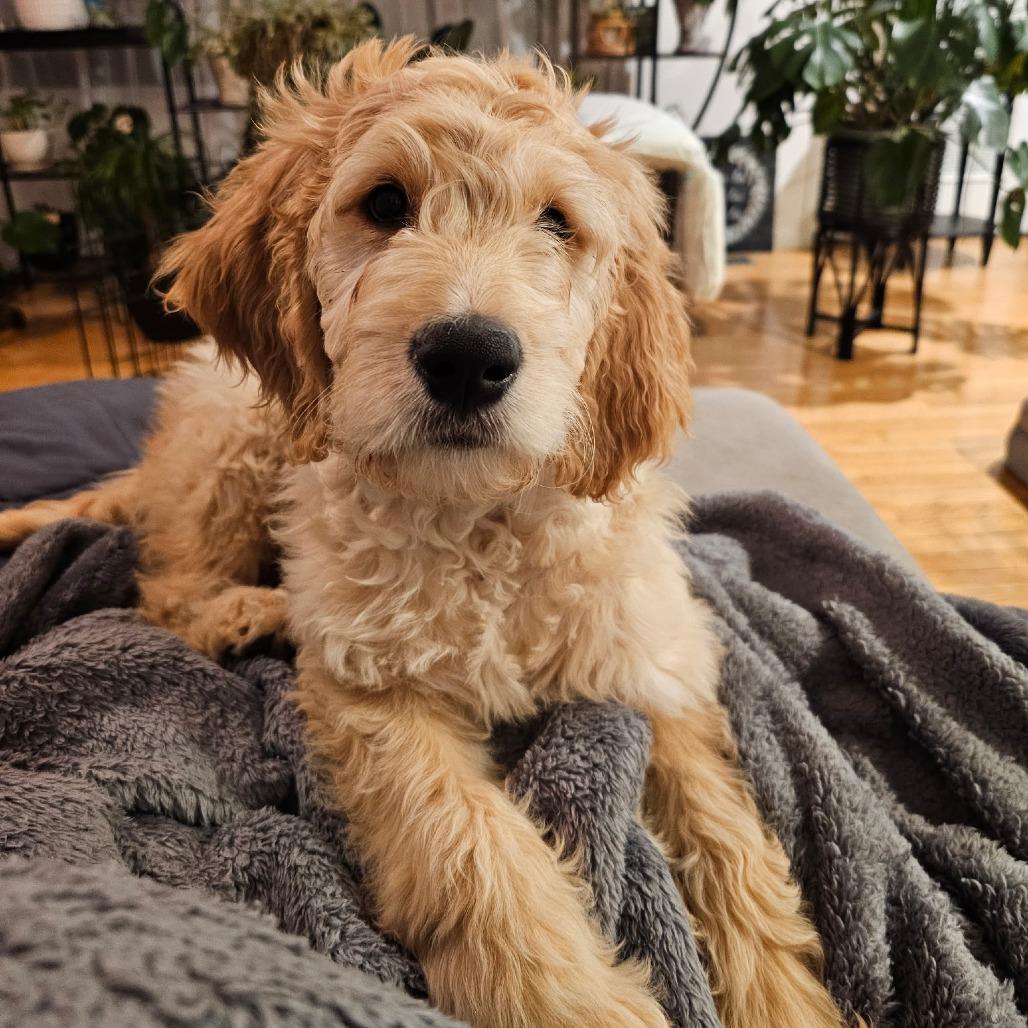 Christine thumbnail 4