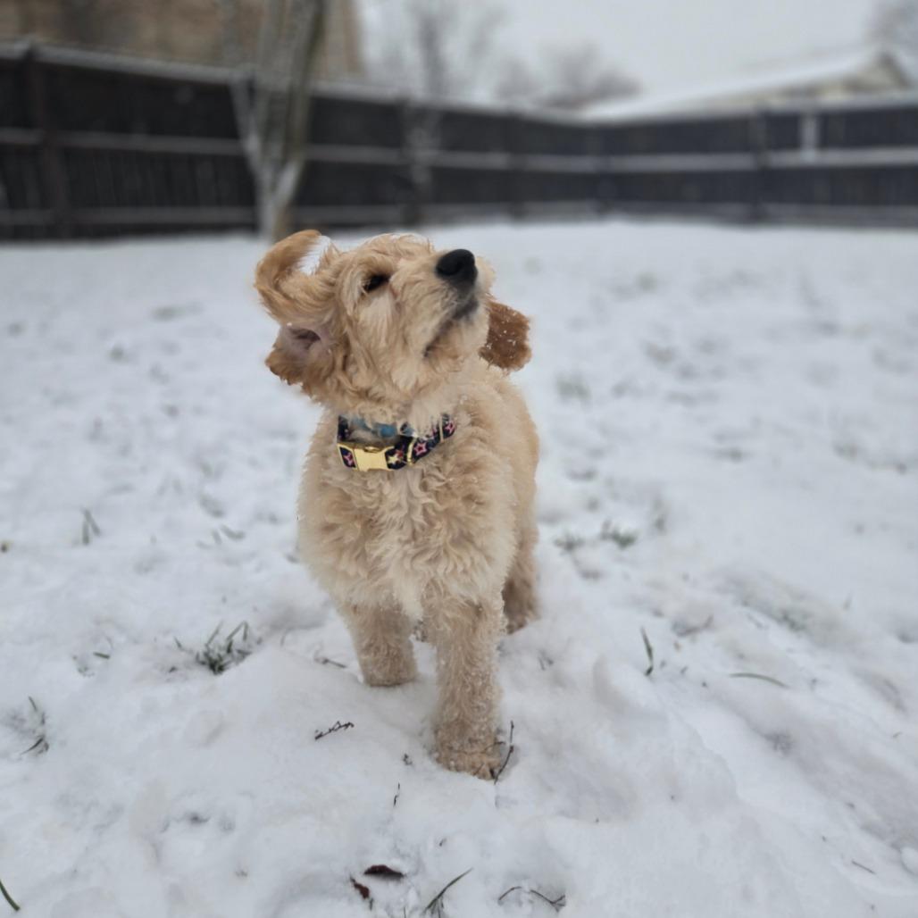 Christine thumbnail 5