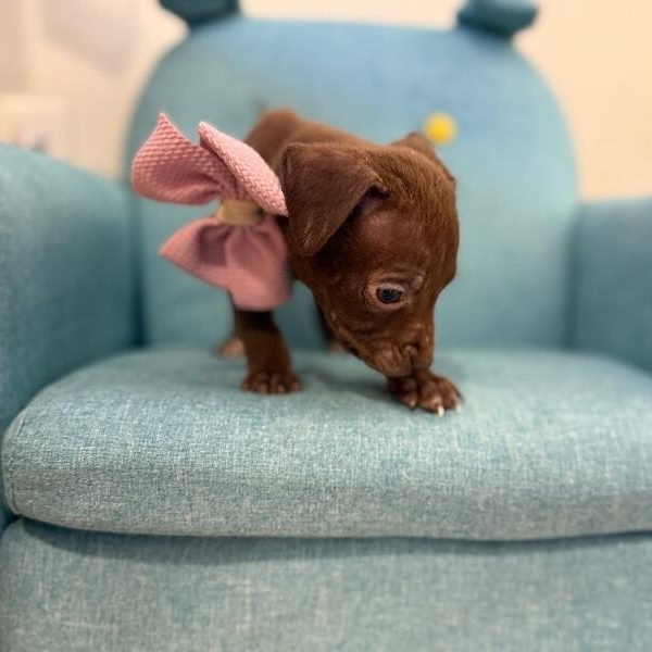 Kiri Sunshine — thumbnail 3