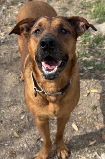 Aluminium — thumbnail 2