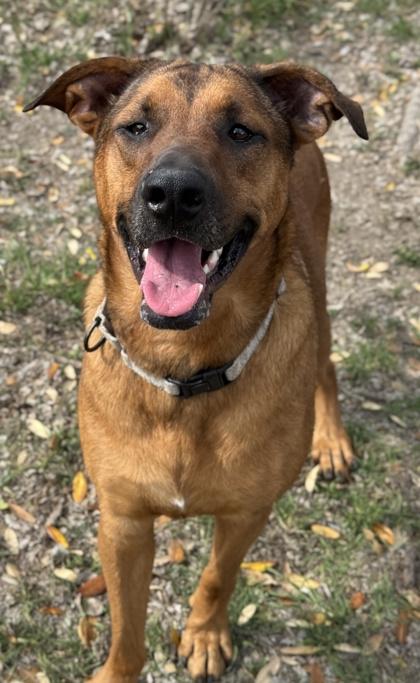 Aluminium — thumbnail 3