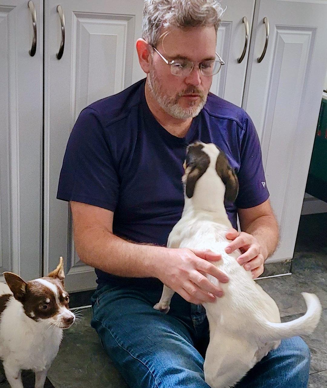 Enlarge Frannie (VA), a Adoptable Rat Terrier in Piney River, VA image 3/3