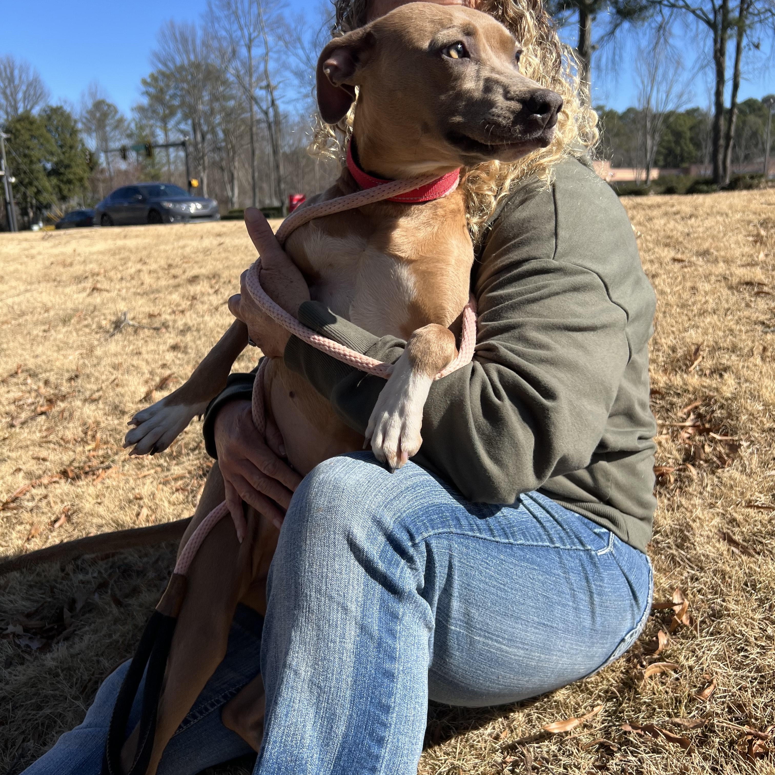 Enlarge WILLOW, an adopted Mixed Breed in Newborn, GA image 4/5