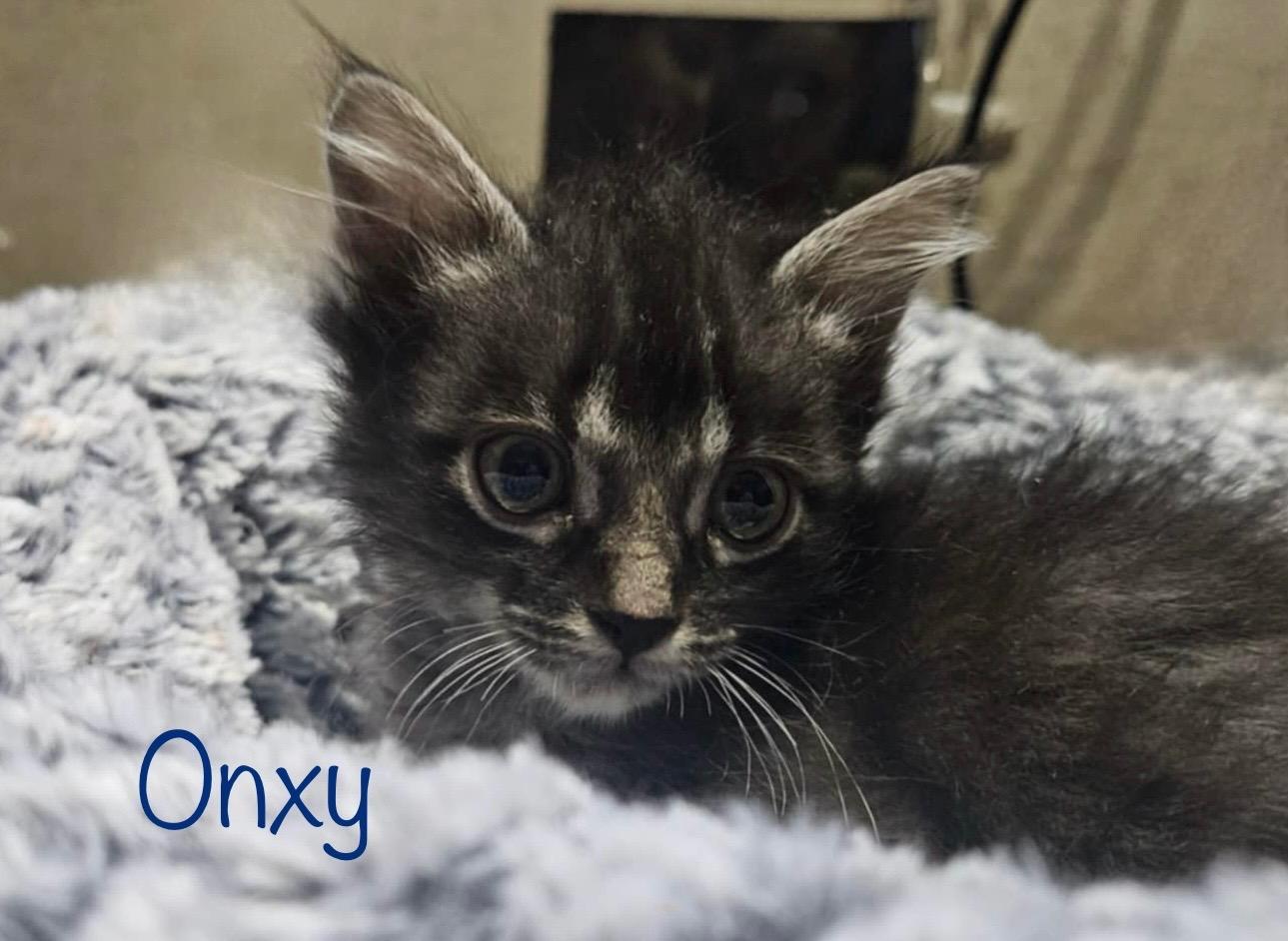 Onyx