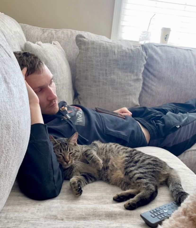 Maggie, a Adopted Domestic Short Hair in MANASSAS, VA image 5/5