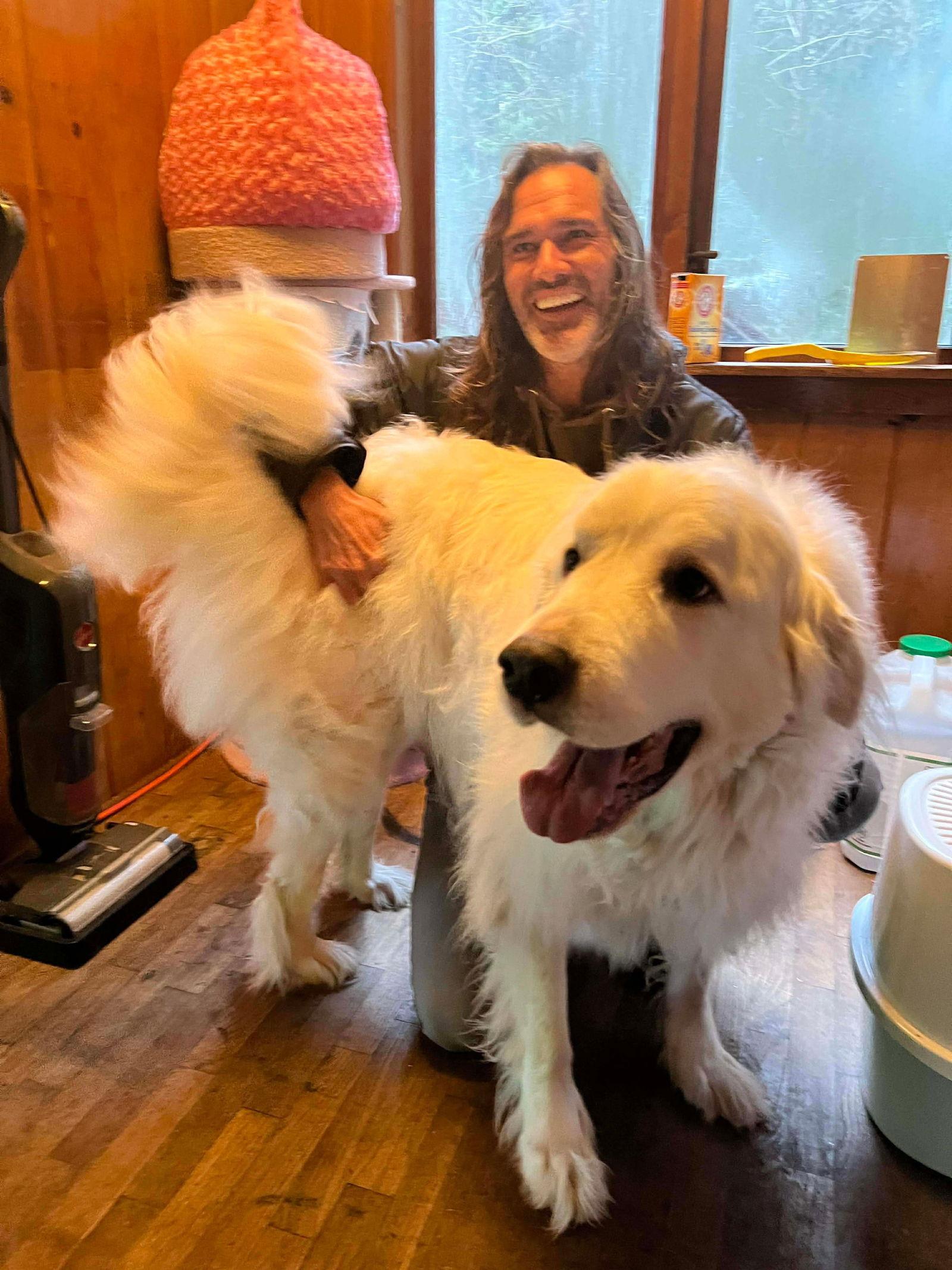 Saint, Adopted, Adult Male Great Pyrenees.