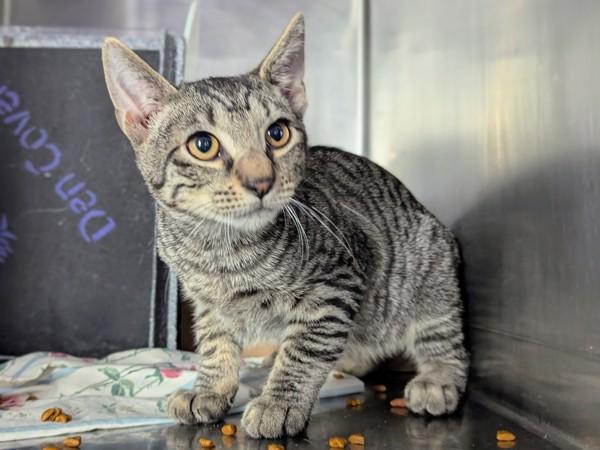 Spence — thumbnail 2