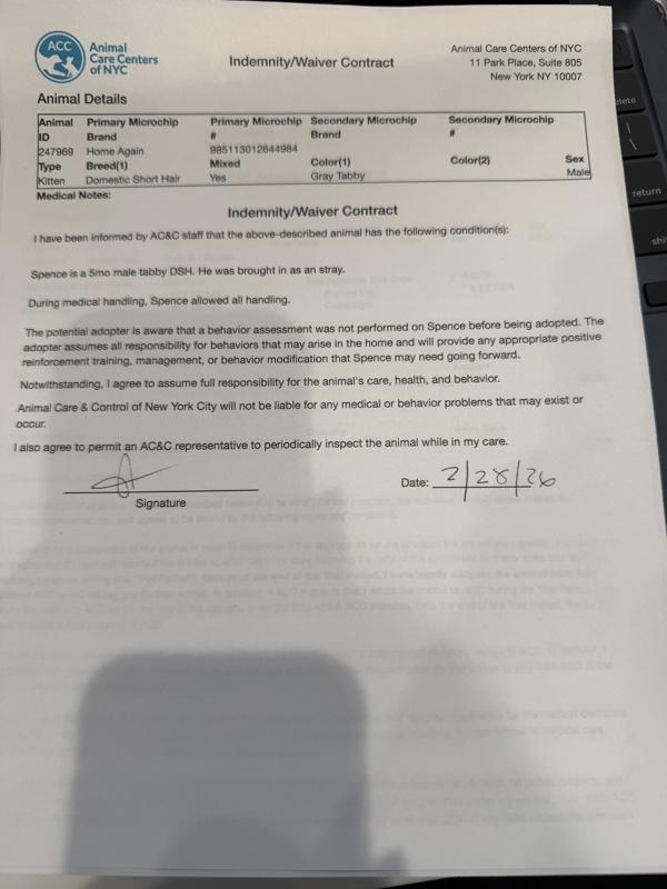 Spence — thumbnail 4