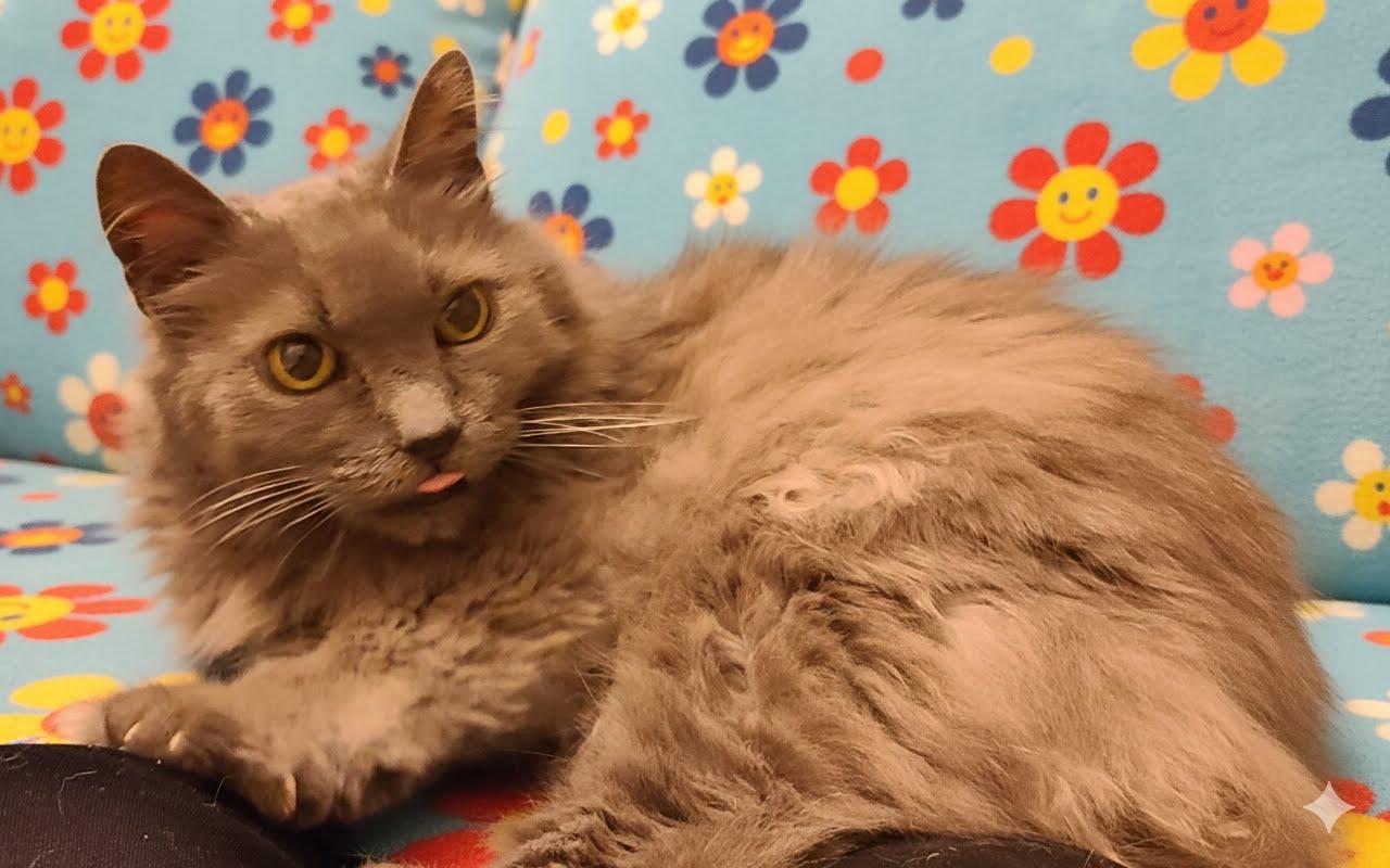 Apple — thumbnail 3