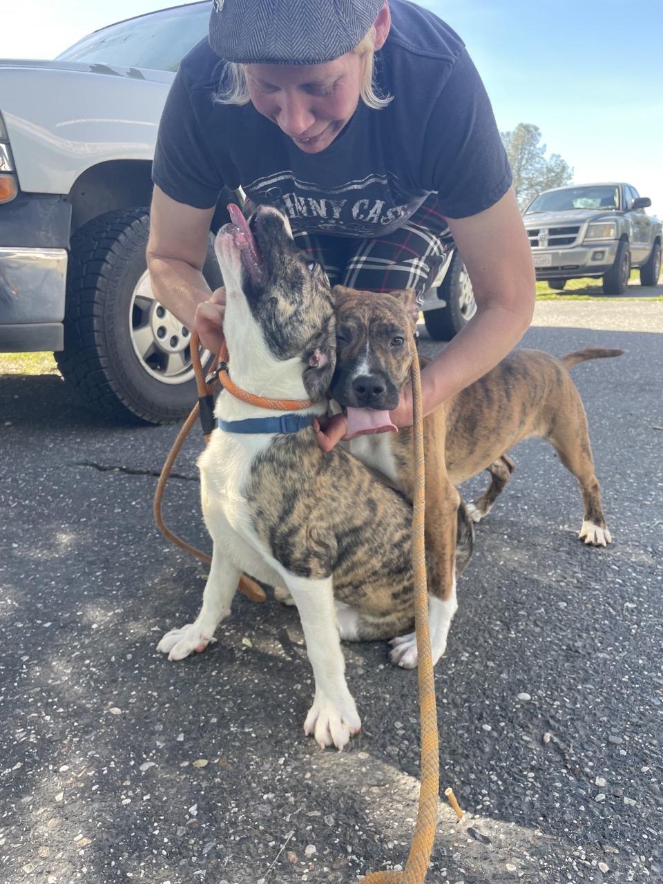 Reese — thumbnail 2