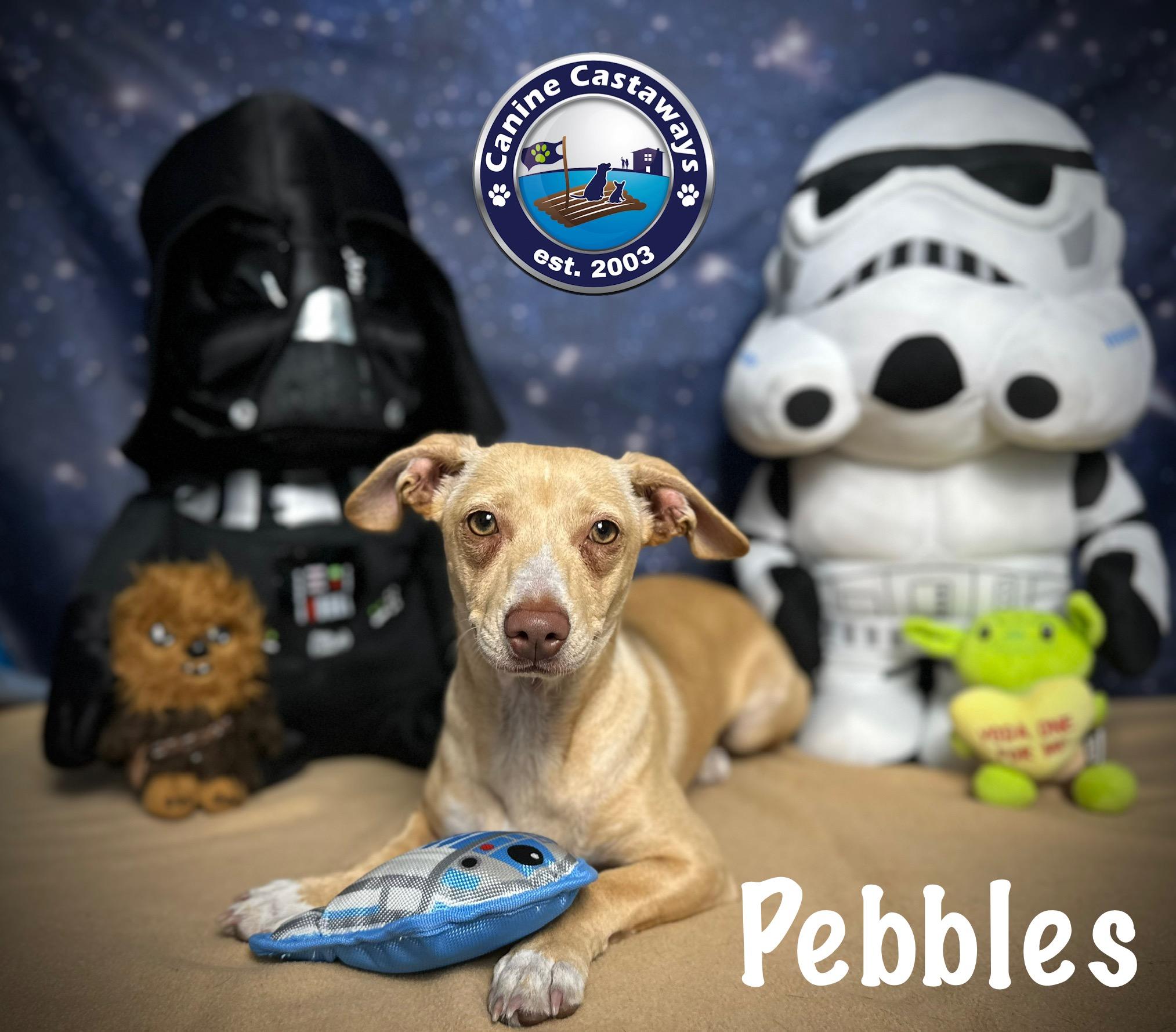 Pebbles, Baby Female unknown