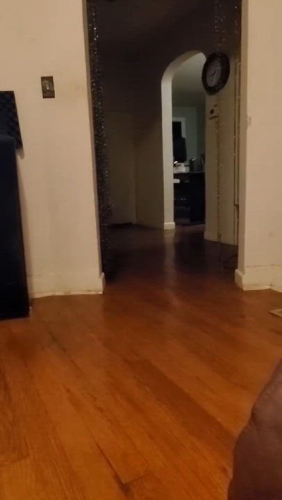 Enlarge Butters, a Adopted Border Collie in Vine Grove, KY video 2/3