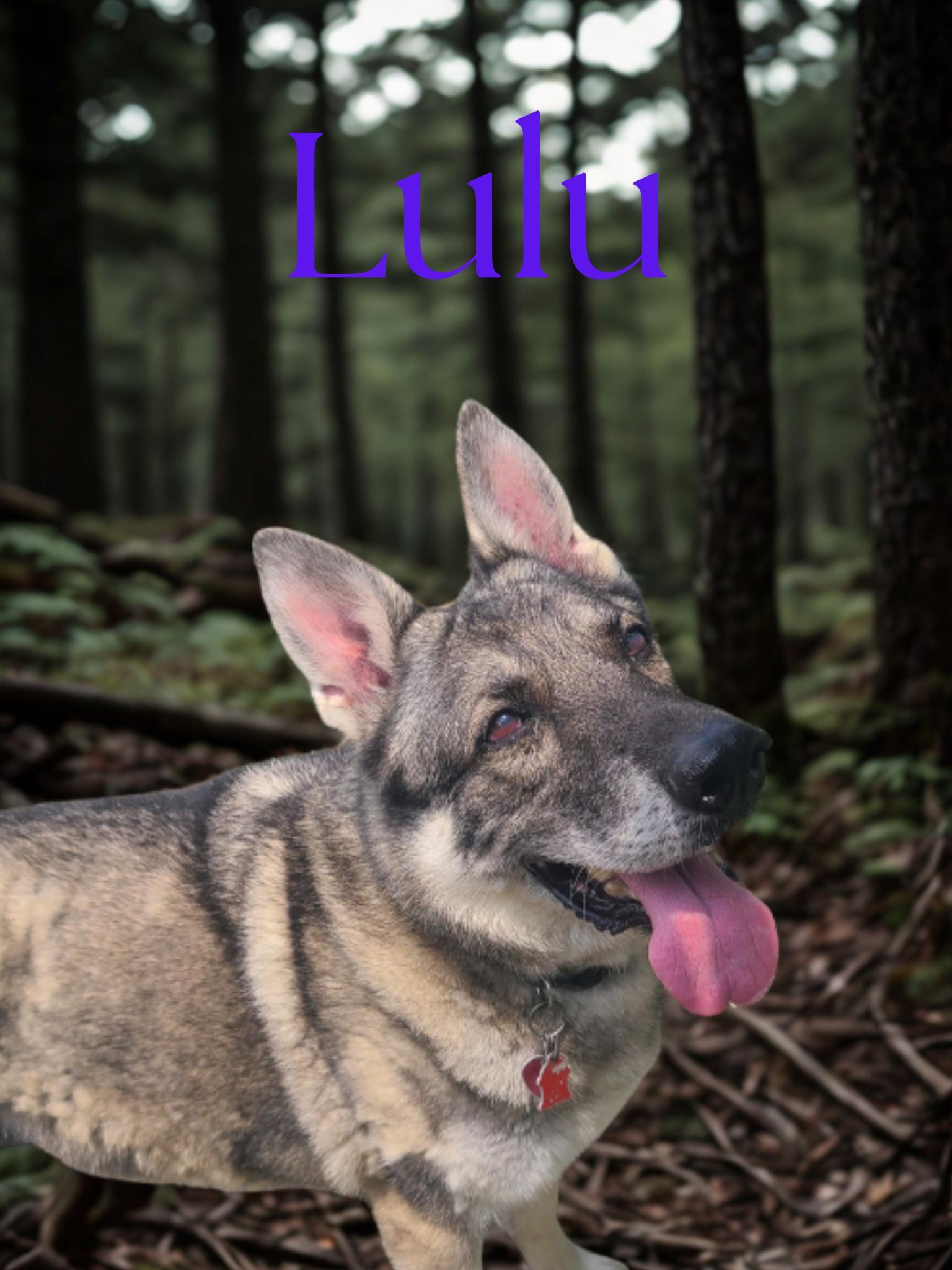 -Lulu & Waffles - Vermont, Courtesy post