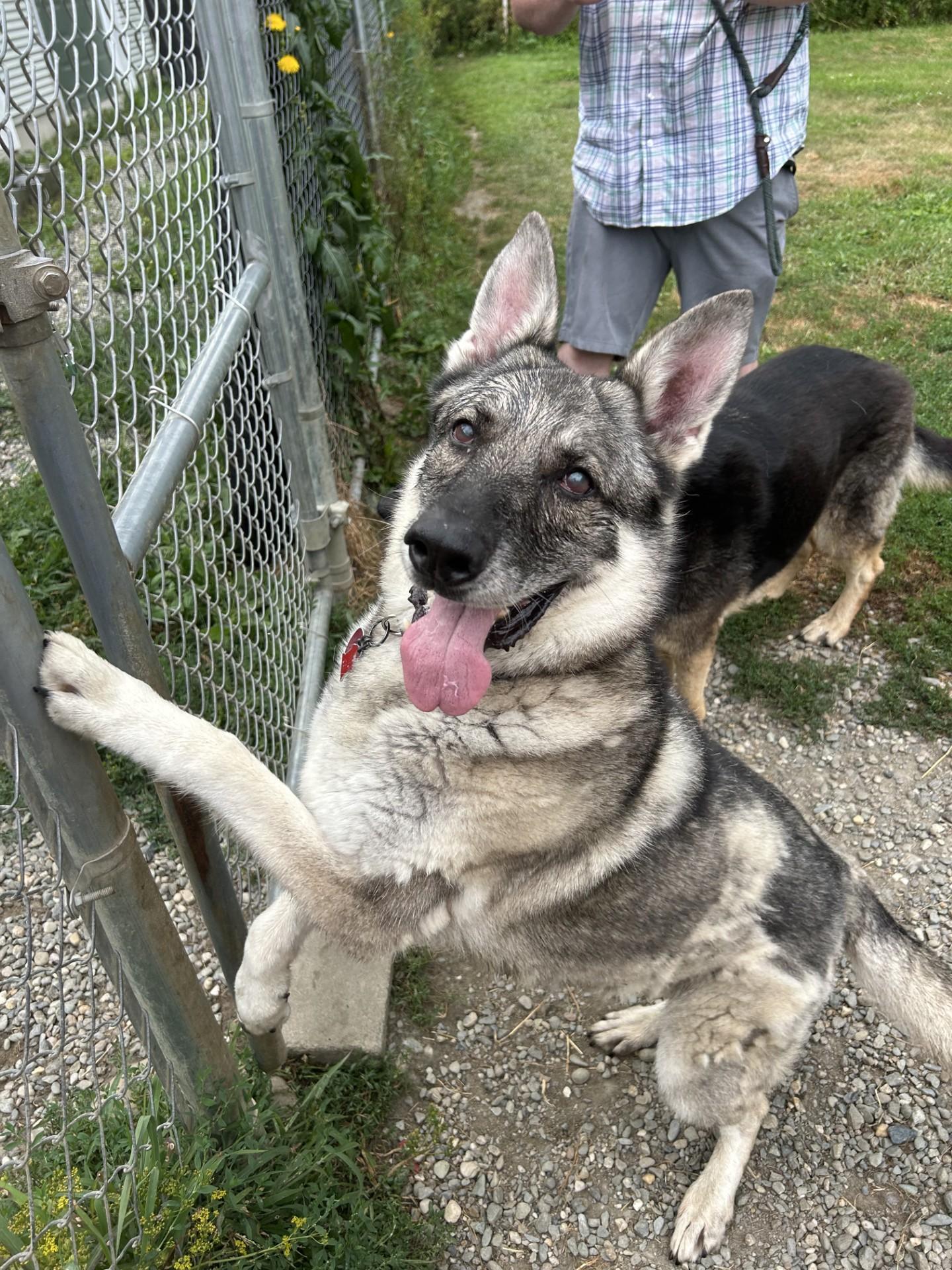 -Lulu & Waffles - Vermont, Courtesy post — thumbnail 4