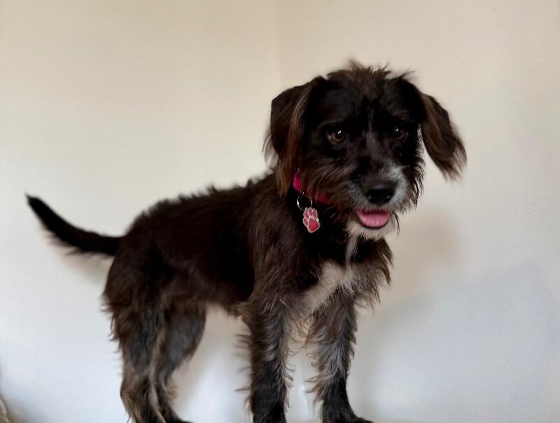 Shakira Love Don't Lie — thumbnail 2