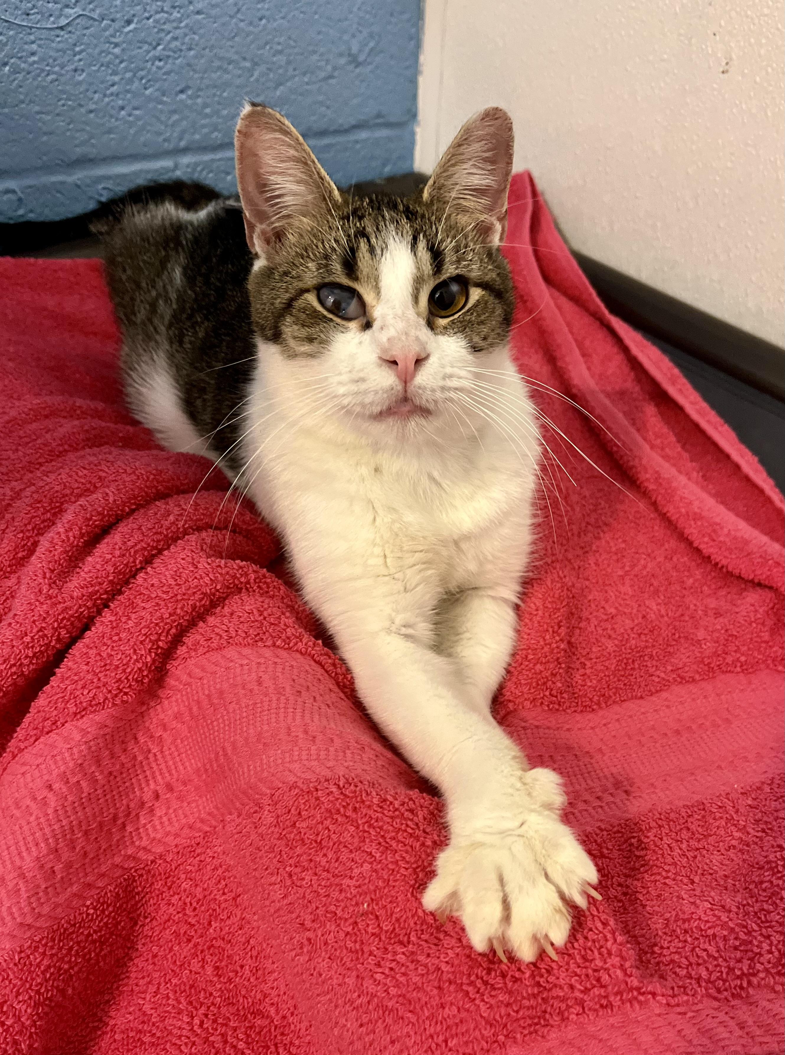 Rubby — thumbnail 2