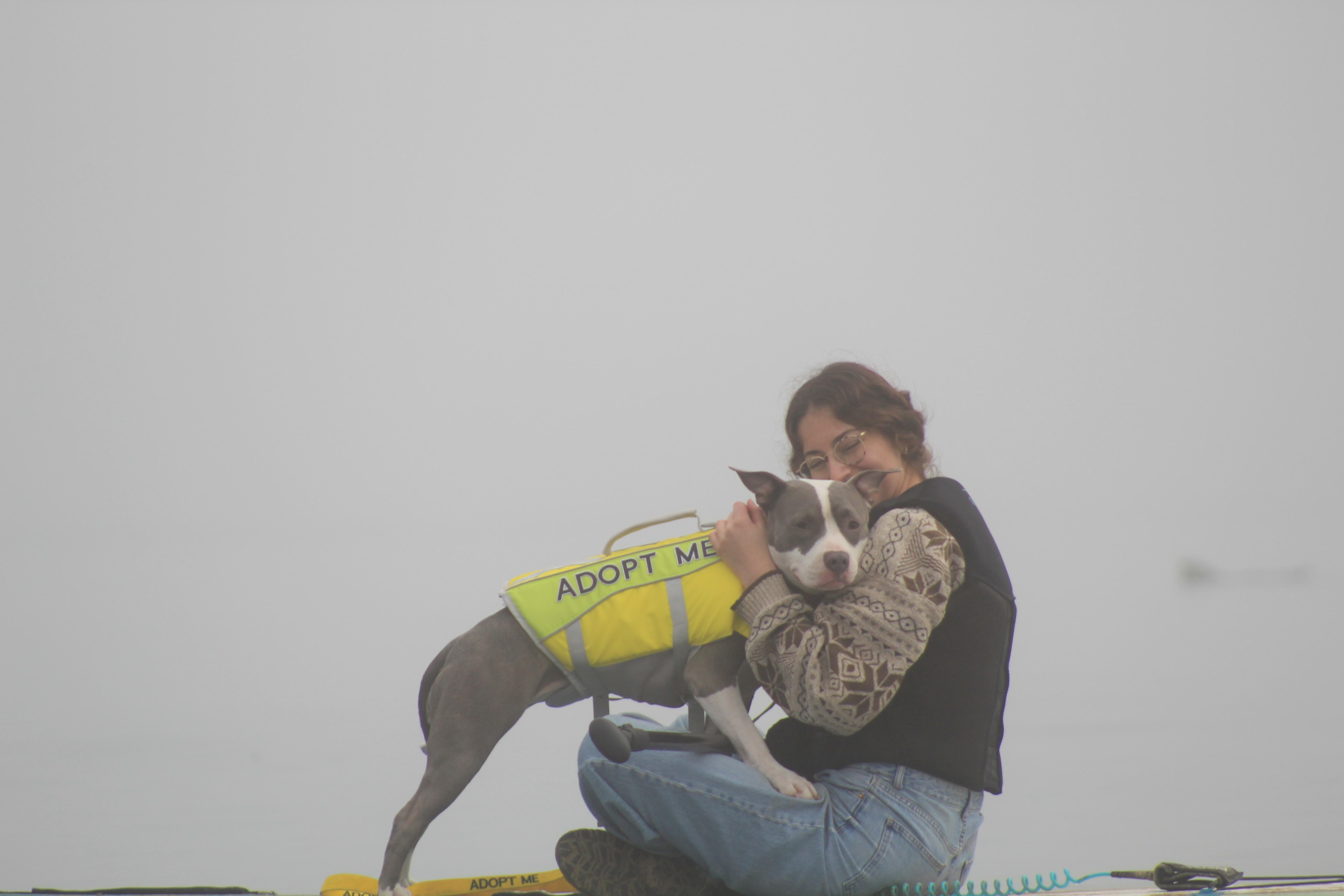 Enlarge Misty - Professionally Trained!, a Adoptable mixed breed in Atascadero, CA image 3/5