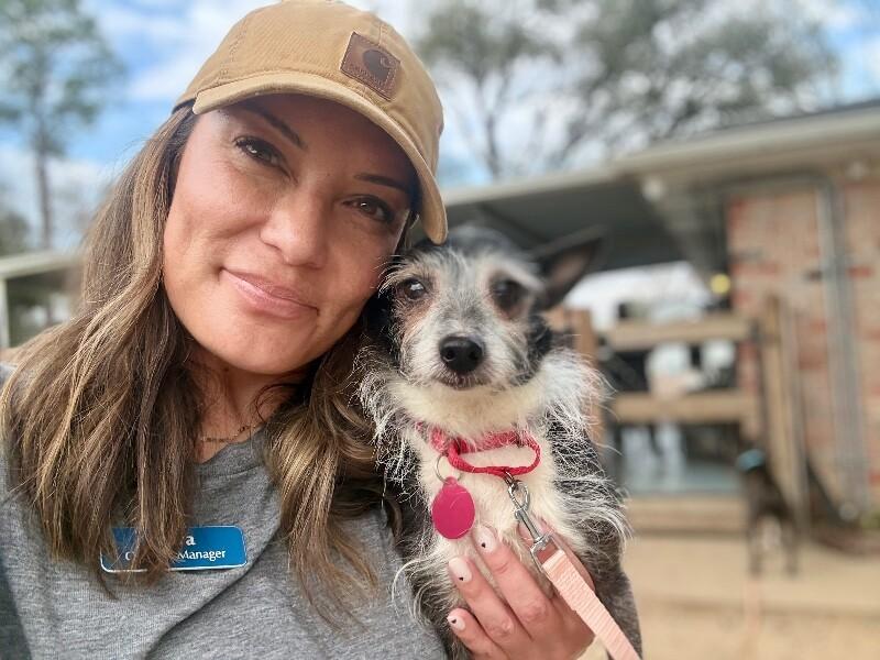 Toto Silver Fox Dream