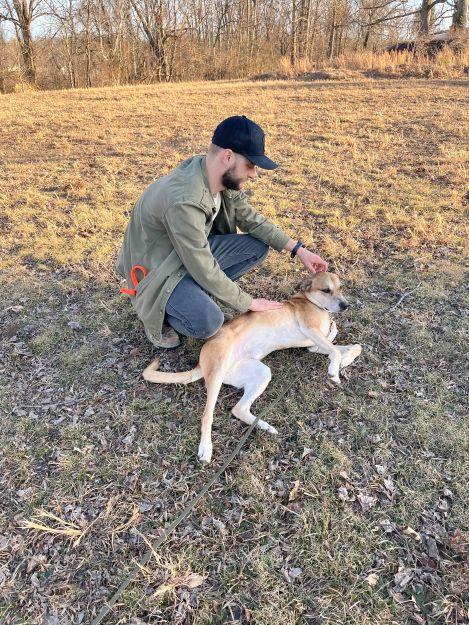 Fitz, a Adoptable mixed breed in Ona, WV image 4/5