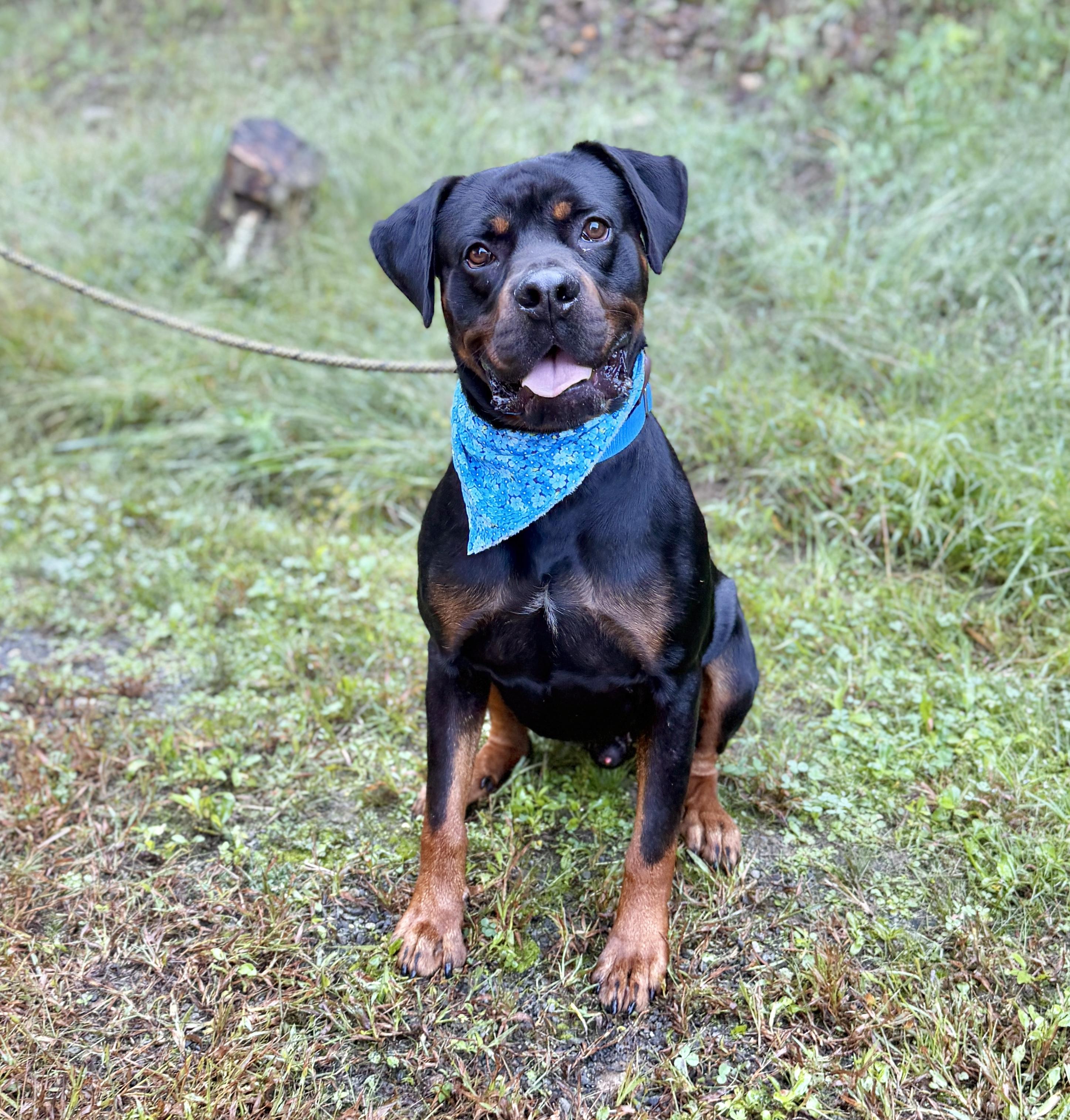 Bruno photo