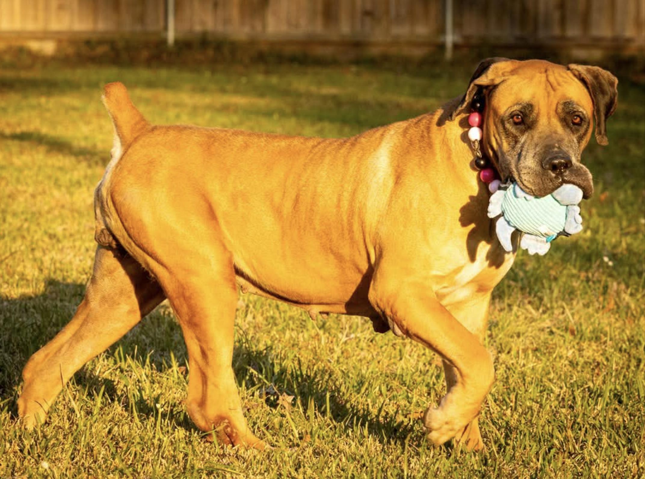 Mishka — thumbnail 4