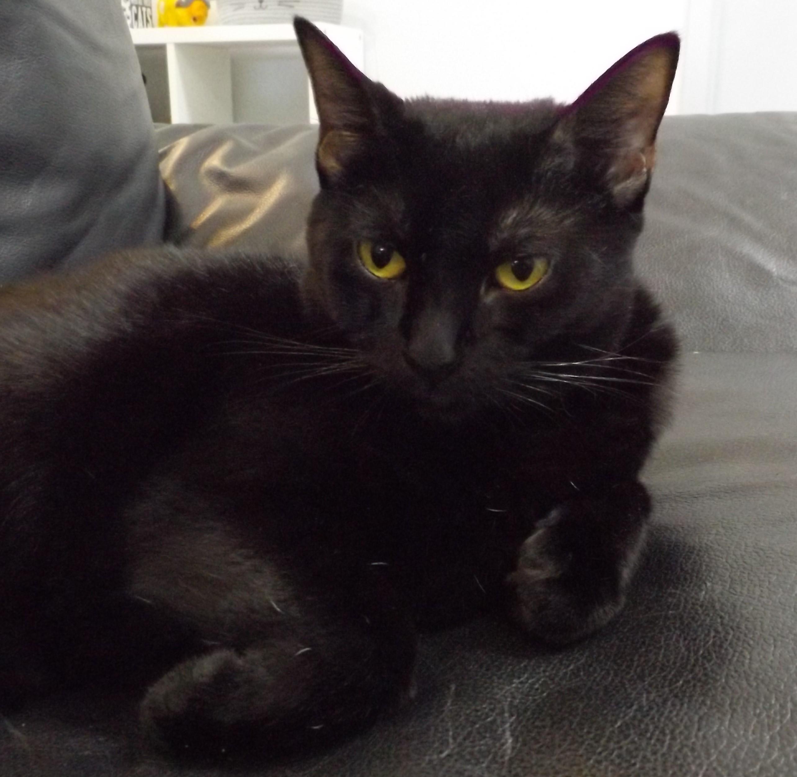 Terrah — thumbnail 2