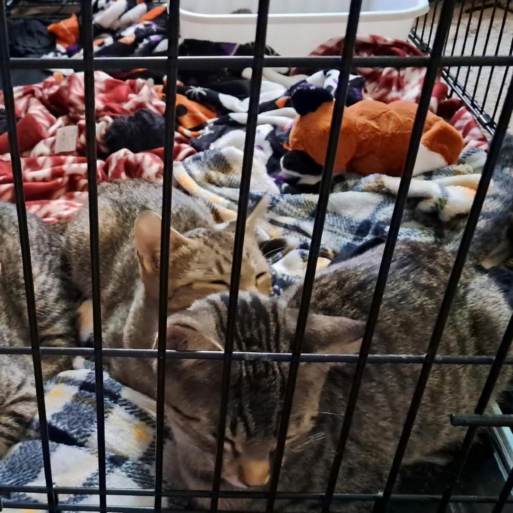 Marley — thumbnail 3