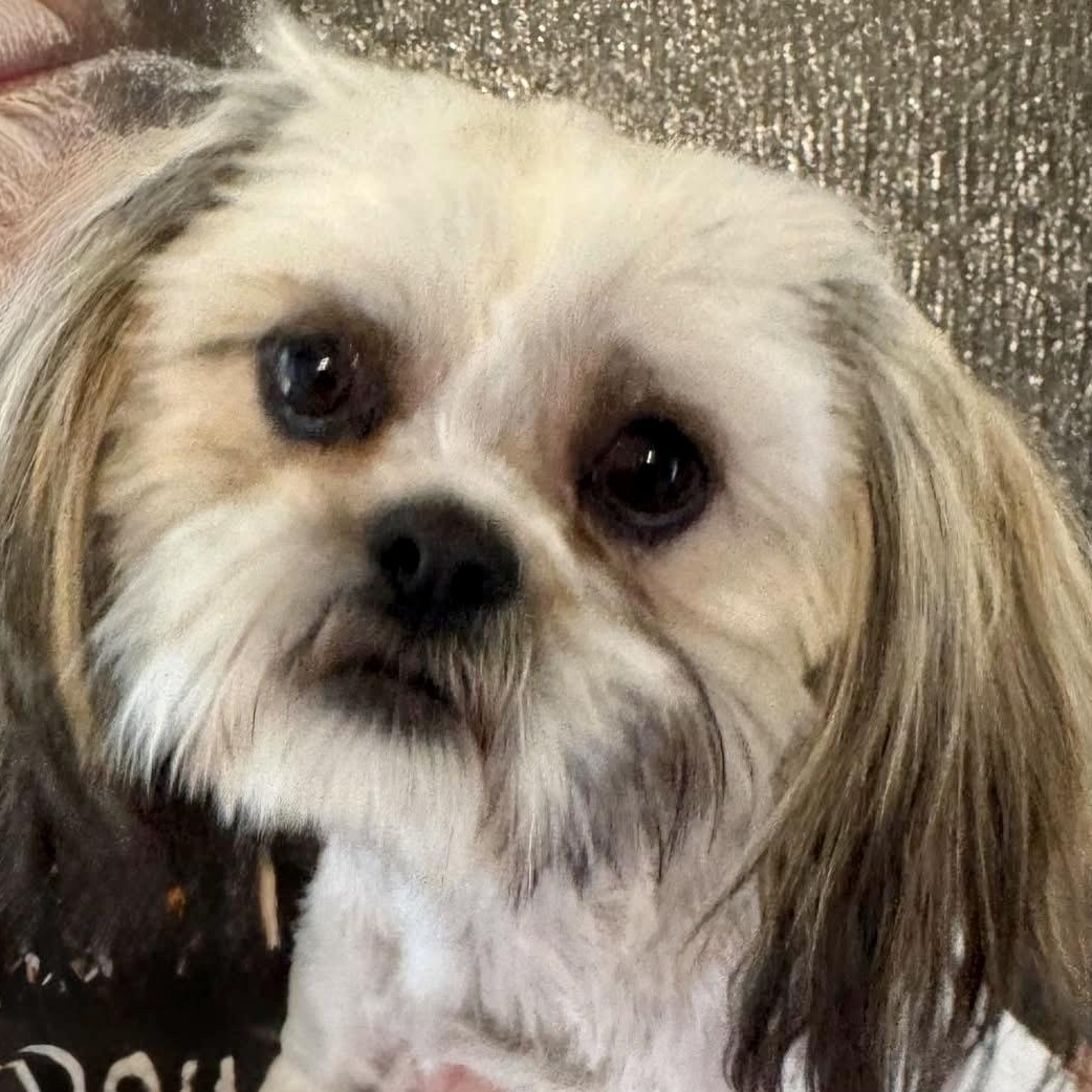 Jency Worth thumbnail 2