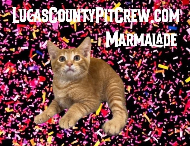 Marmalade