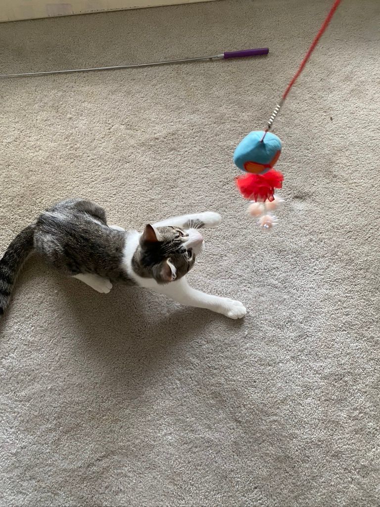 Boo photo 3
