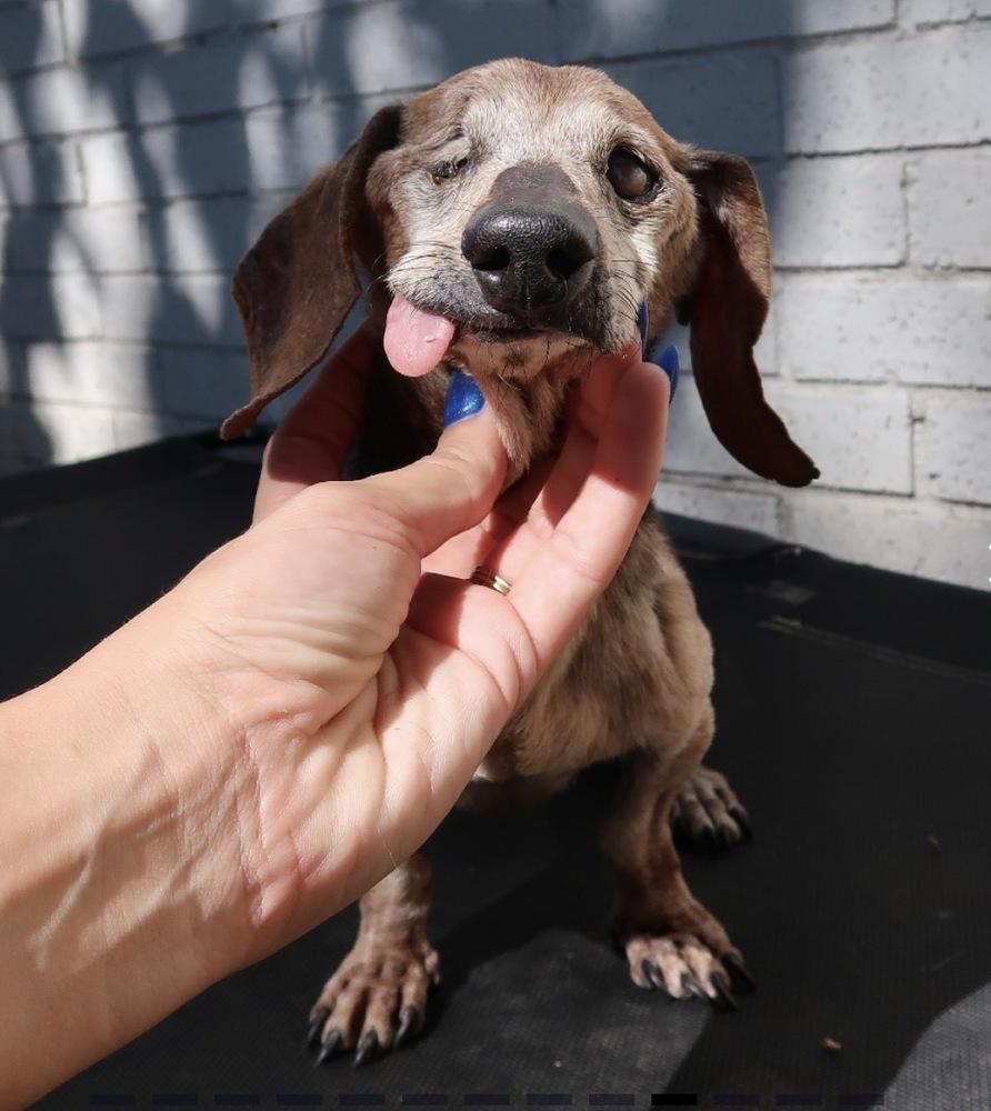 Rusty Cuddles thumbnail 3