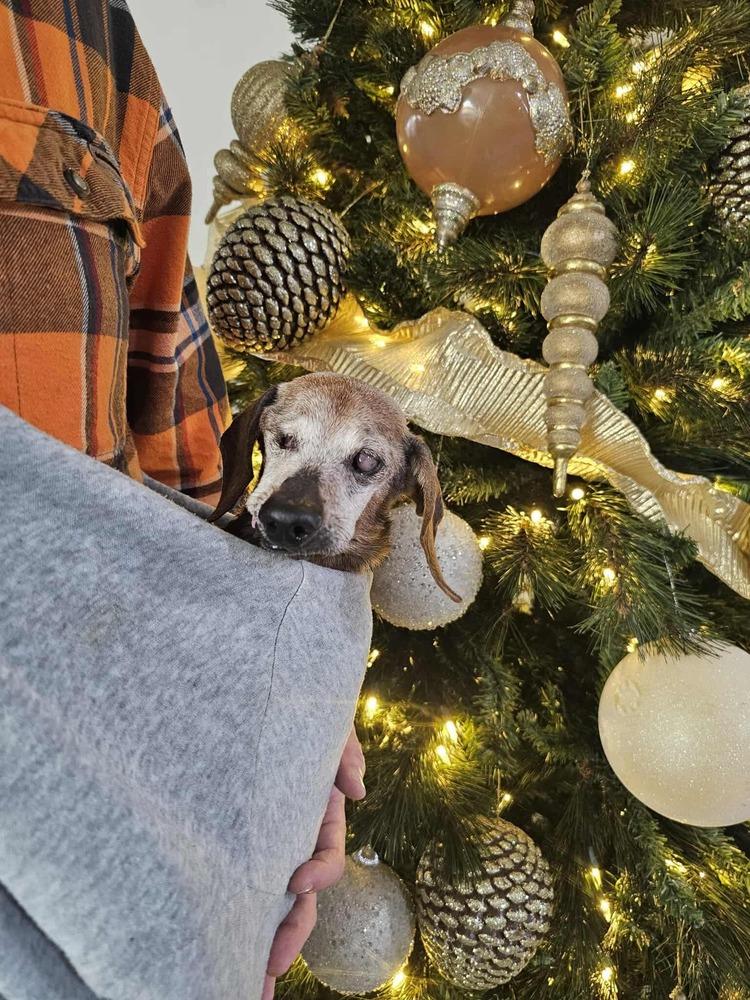 Rusty Cuddles thumbnail 5