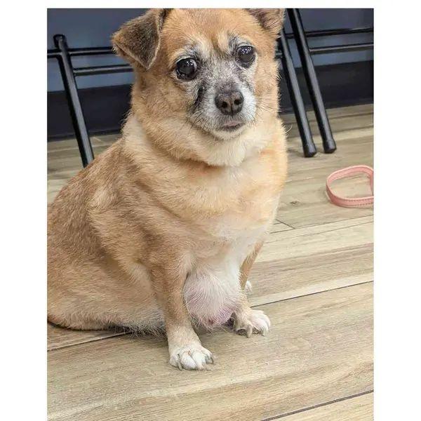 Sourdough thumbnail 4