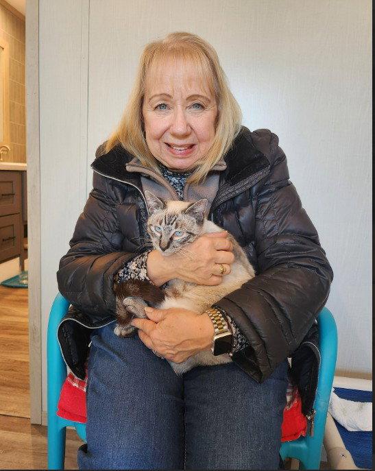 Lema, a Adopted Domestic Short Hair in Hampstead, NC image 2/3