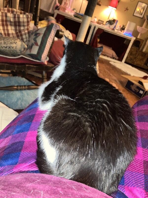 Engee — thumbnail 3