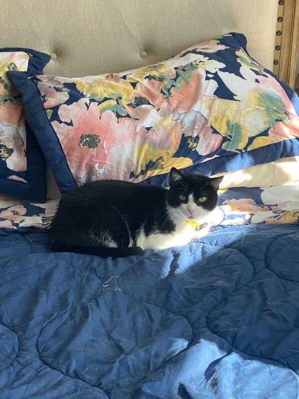 Engee — thumbnail 5