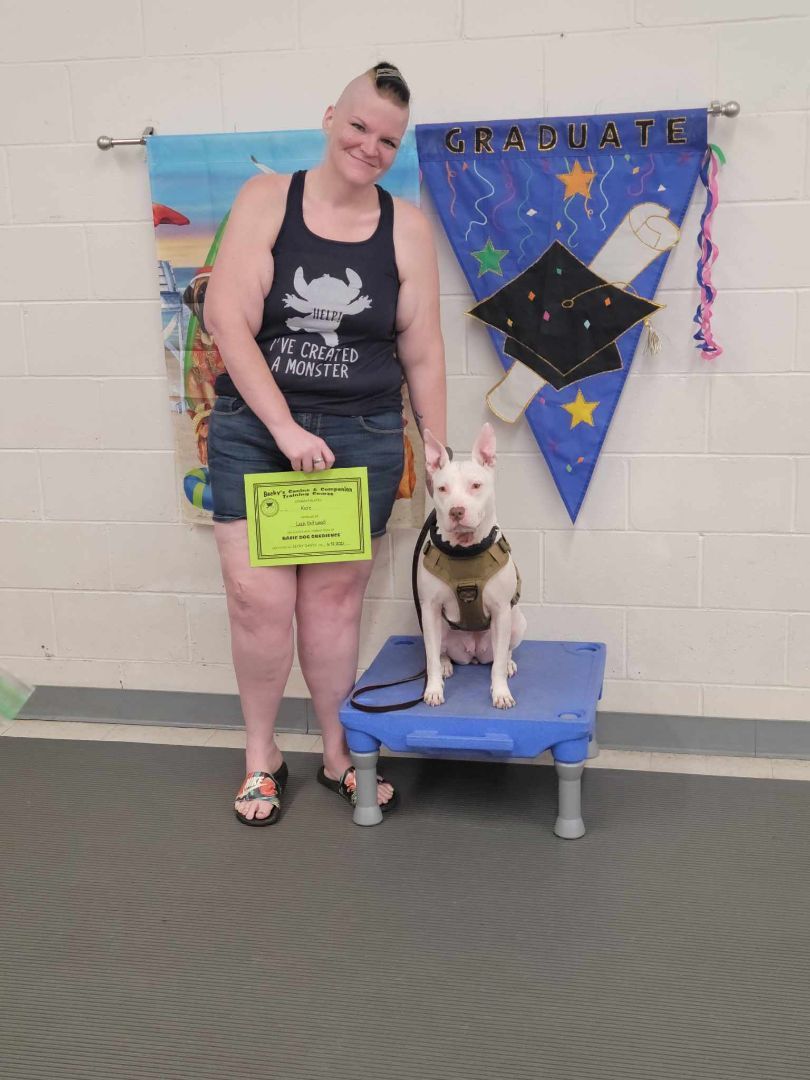 Kore, a Adoptable mixed breed image 1/10