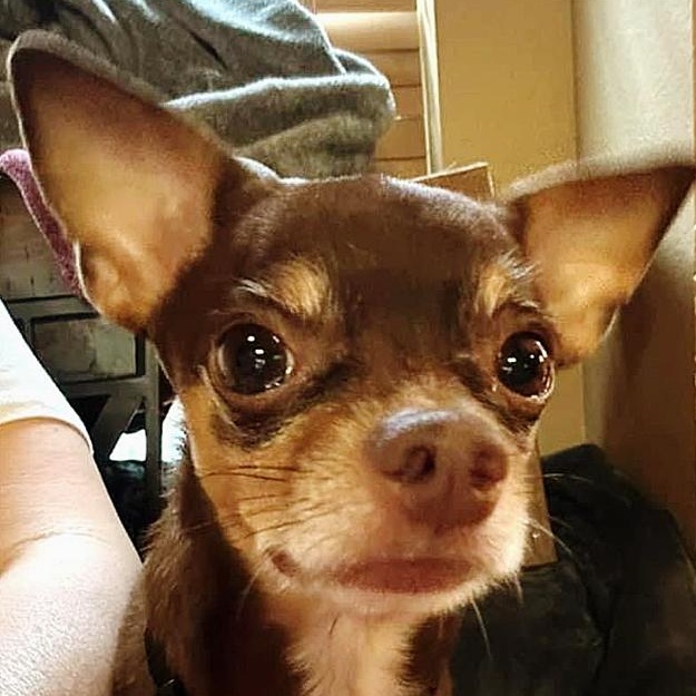 Buster