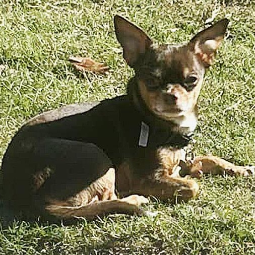 Buster