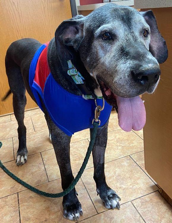 Earl, Senior Male unknown