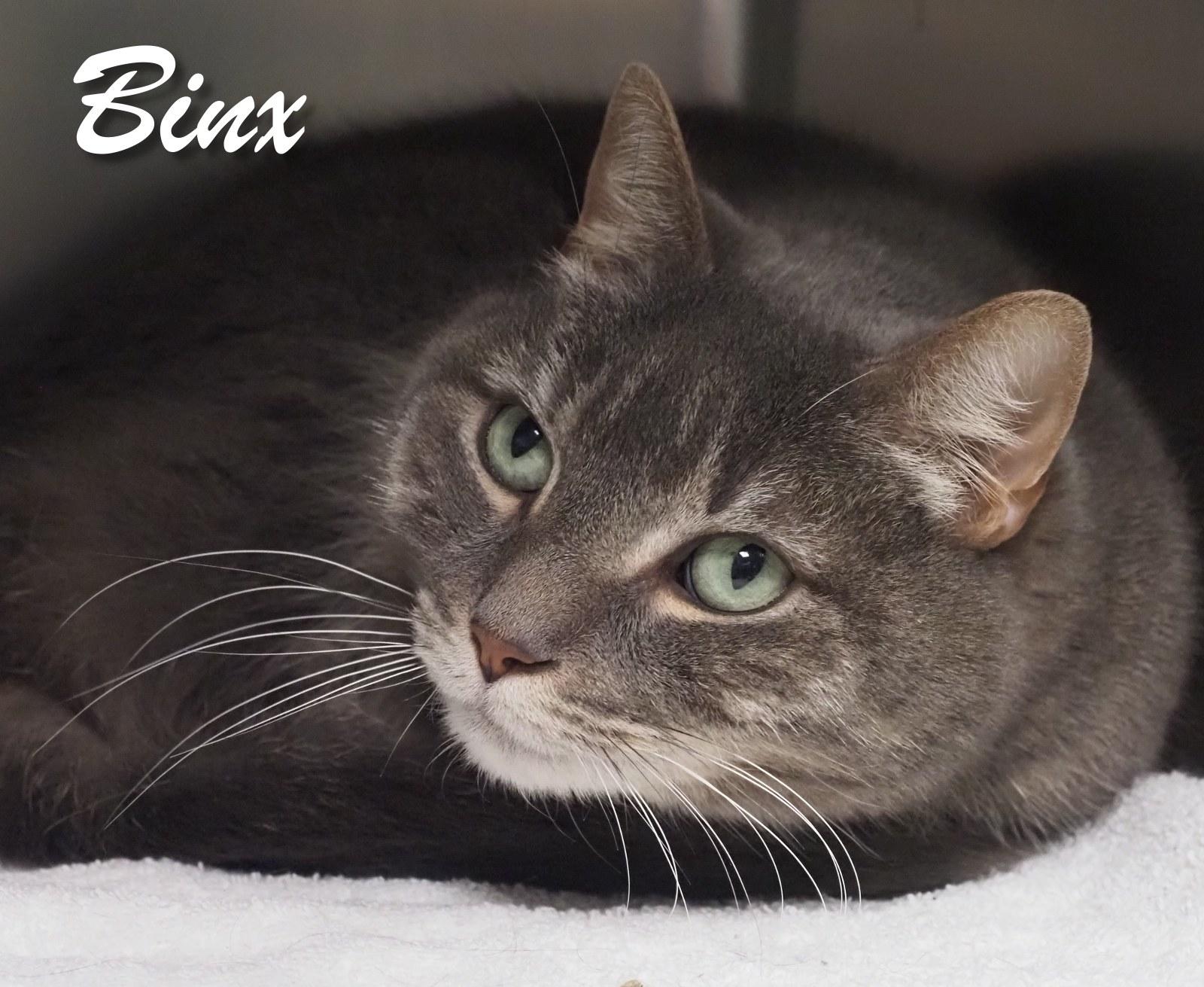 Binx