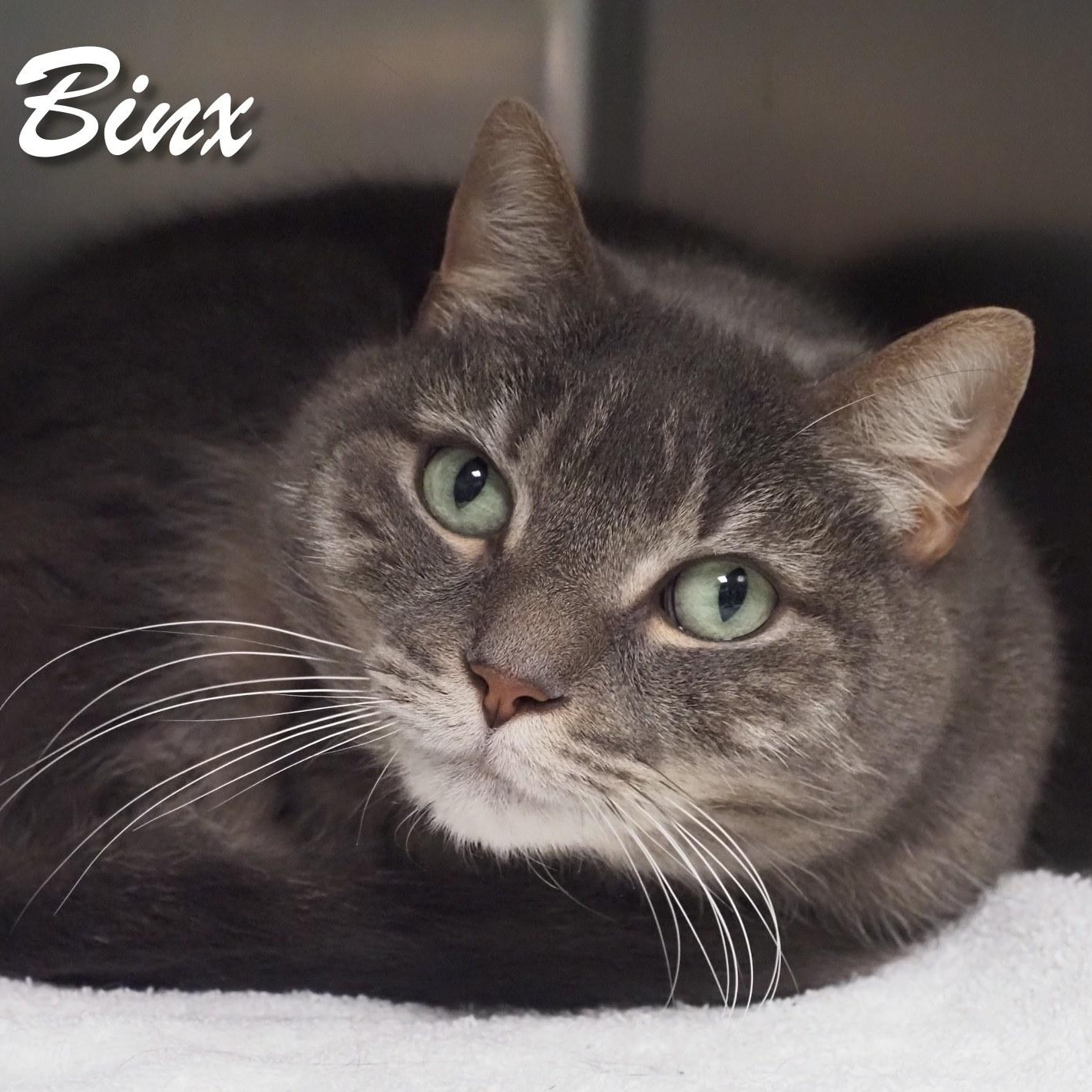 Binx