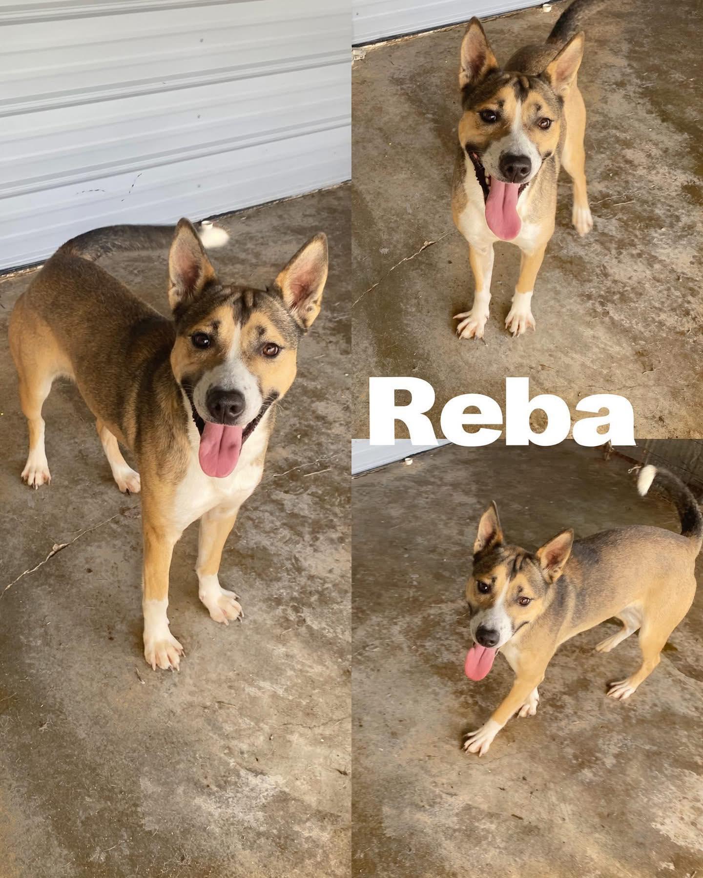 Reba