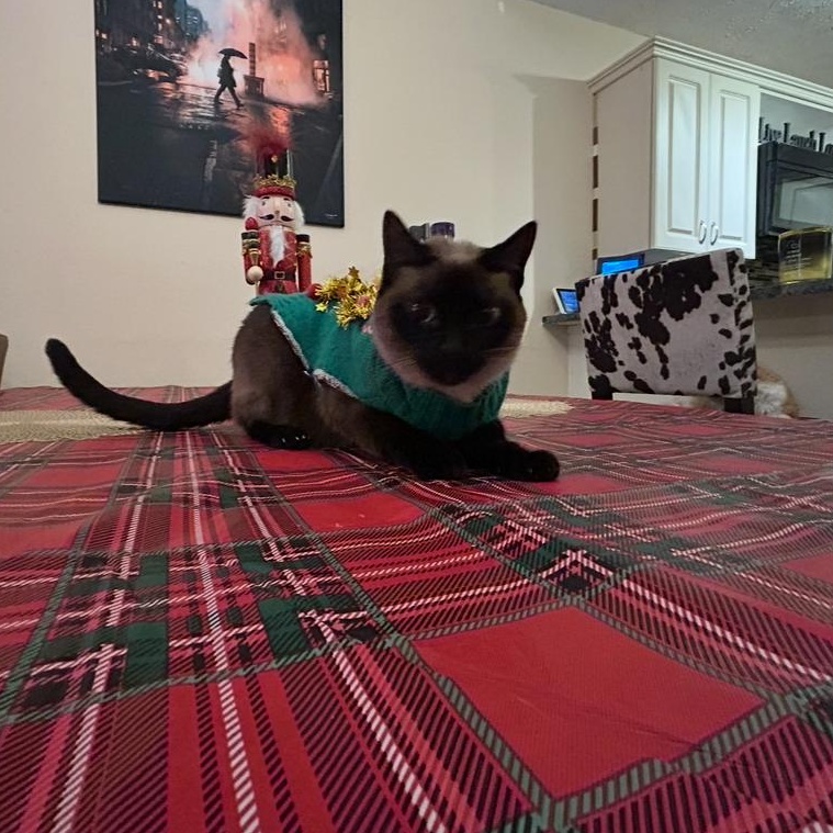 Harlee and Marlee — thumbnail 3