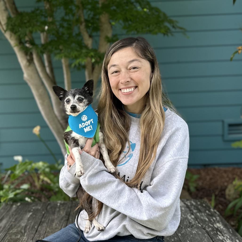 Enlarge Adele, a Adoptable Chihuahua in Pacific Grove, CA image 3/6