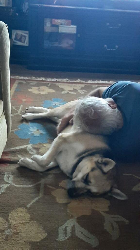 Merci - Courtesy Listing see info, a Adoptable mixed breed in Polson, MT image 2/5