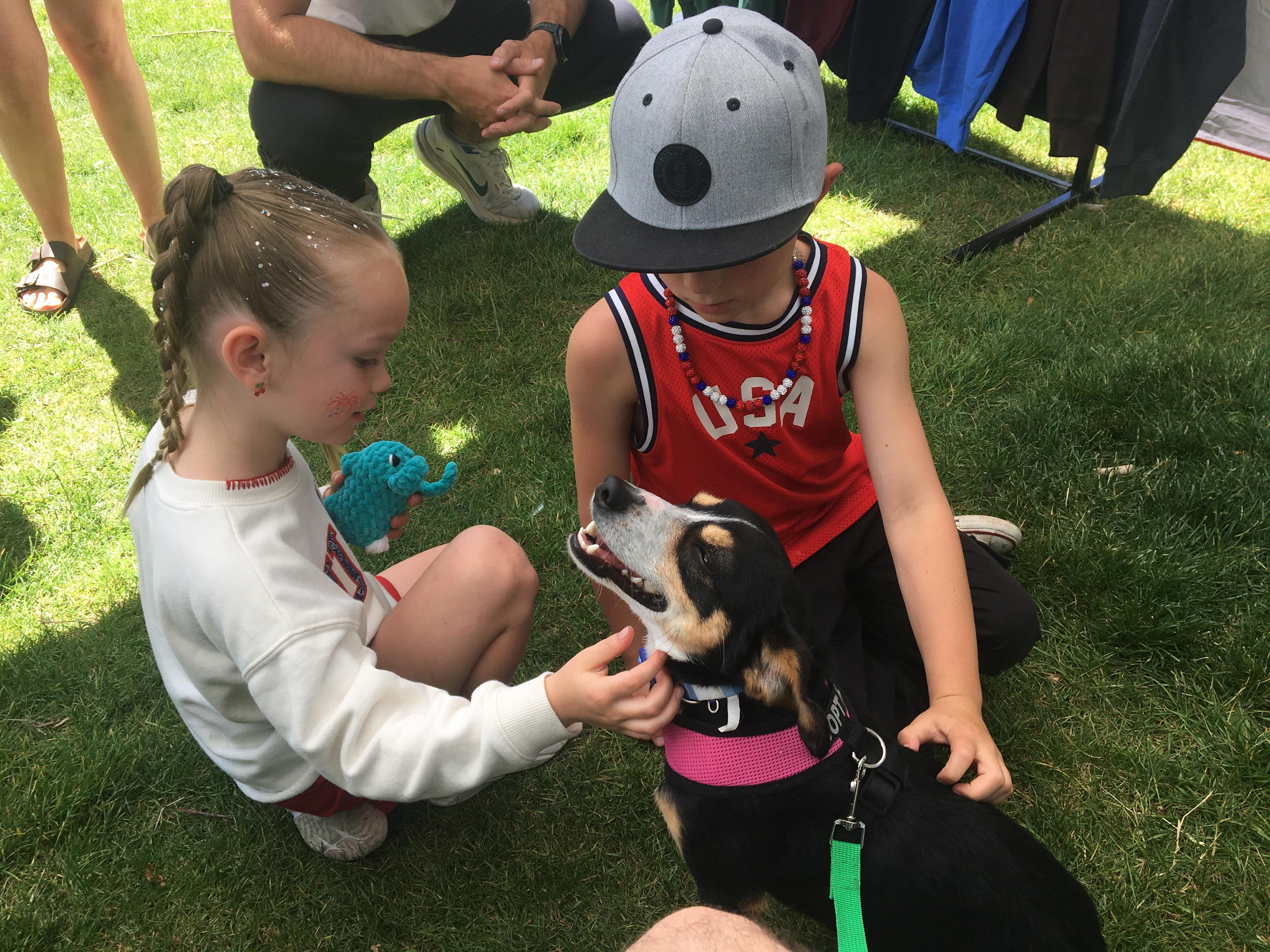 Enlarge Kermit, a ADOPTABLE mixed breed in St. Anthony, ID image 2/3