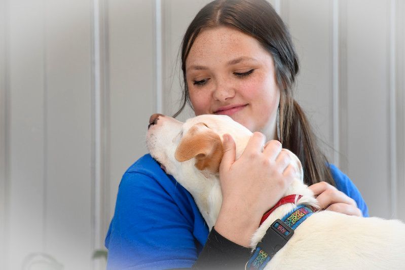 Colby, a Adoptable mixed breed in Marietta, GA image 2/4