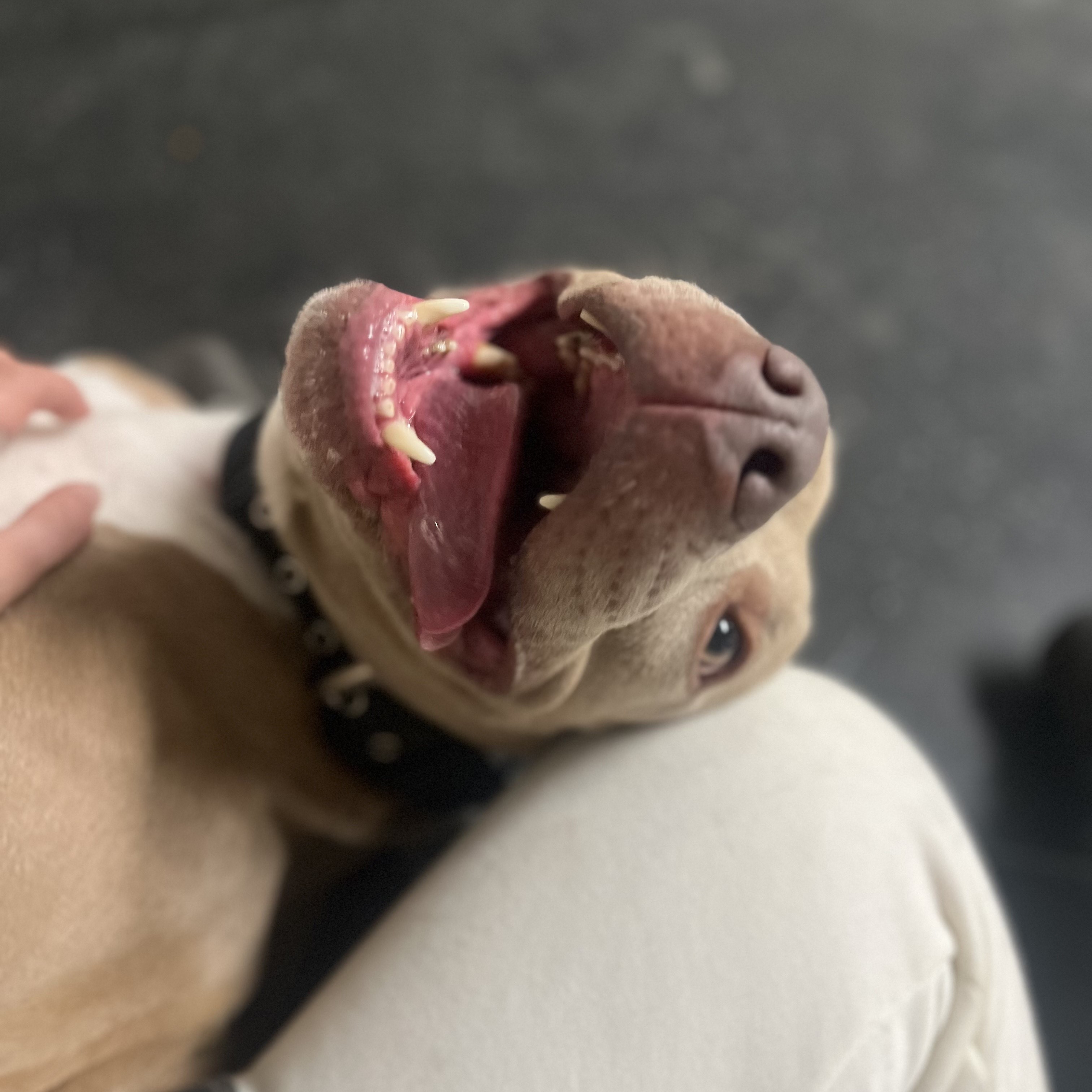 Finn-The Most Wonderful Personality