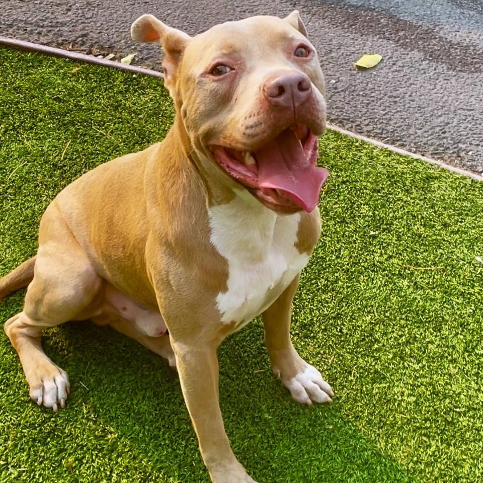 Finn-The Most Wonderful Personality